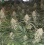 Critical Mass Autoflower Feminized Cannabis Seeds