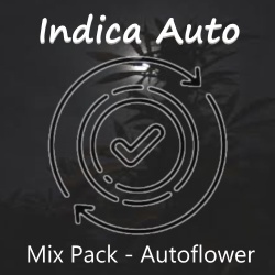 Indica Auto Mix pack Feminized 