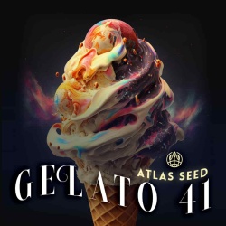Gelato 41 Cannabis Seeds Feminized
