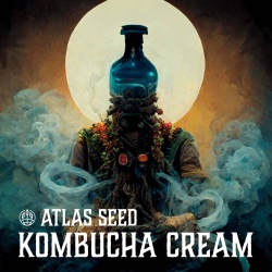 Kombucha Cream Cannabis Seeds Feminized