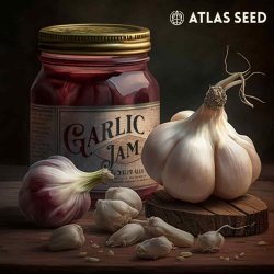 Auto Garlic Jam Cannabis Seeds Feminized