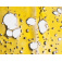 Hash Charter Oil Concentrates