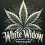 White Widow Feminized Cannabis Seeds