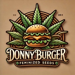 Donny Burger Cannabis Seeds Feminized