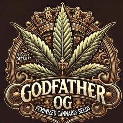 Godfather OG Feminized Cannabis Seeds