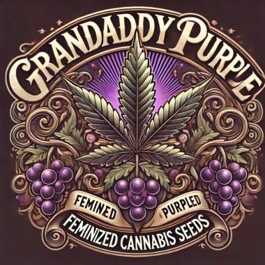 Granddaddy_Purple_Feminized_Ca