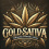 Gold Sativa Feminized Cannabis Seeds