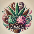 Gelato Feminized Cannabis Seeds