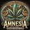 Amnesia Autoflower Feminized Cannabis Seeds