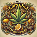 Amnesia Lemon Fast Version Cannabis Seeds Feminized 