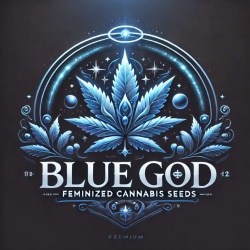 Blue God Cannabis Seeds Feminized