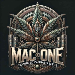 Mac One Cannabis Seeds Feminized