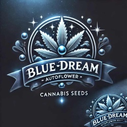 Blue Dream Autoflower Feminized Cannabis Seeds 