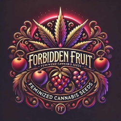 Forbidden Fruit Feminized Cannabis Seeds