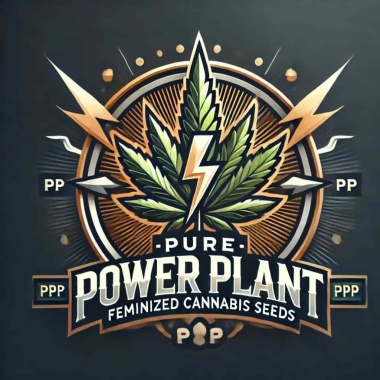 Pure Power Plant Cannabis Seeds Feminized