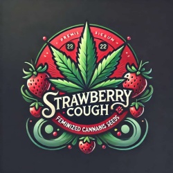 Strawberry Cough Cannabis Seeds Feminized