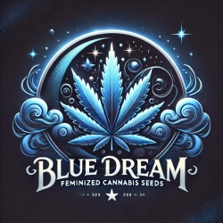 Blue Dream Cannabis Seeds Feminized