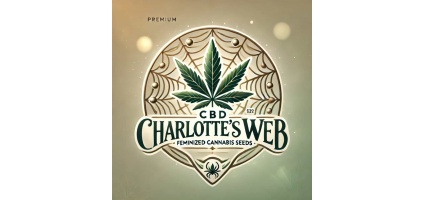 Charlotte’s Web: A Trailblazing Legacy in the World of Cannabis