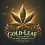 Gold Leaf Autoflower Cannabis Seeds Feminized 