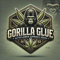 Gorilla Glue Autoflower Cannabis Seeds