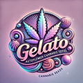 Gelato Autoflower Feminized Cannabis Seeds