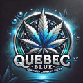 Quebec Blue Feminized Cannabis Seeds