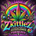 Zkittlez Autoflower Cannabis Seeds Feminized