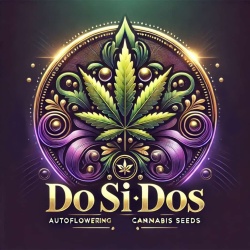 Do Si Dos Autoflowering Feminized Cannabis Seeds