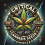 CRITICAL Cannabis Seeds Feminized 