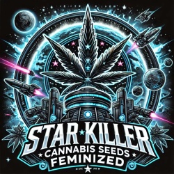 Star Killer Cannabis Seeds Feminized 