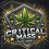 Critical Mass Autoflower Feminized Cannabis Seeds