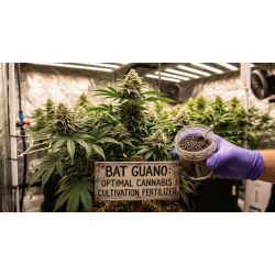 Bat Guano: Optimal Cannabis Cultivation Fertilizer