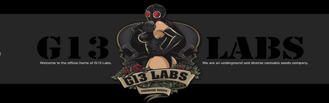 G13 Labs cannabis